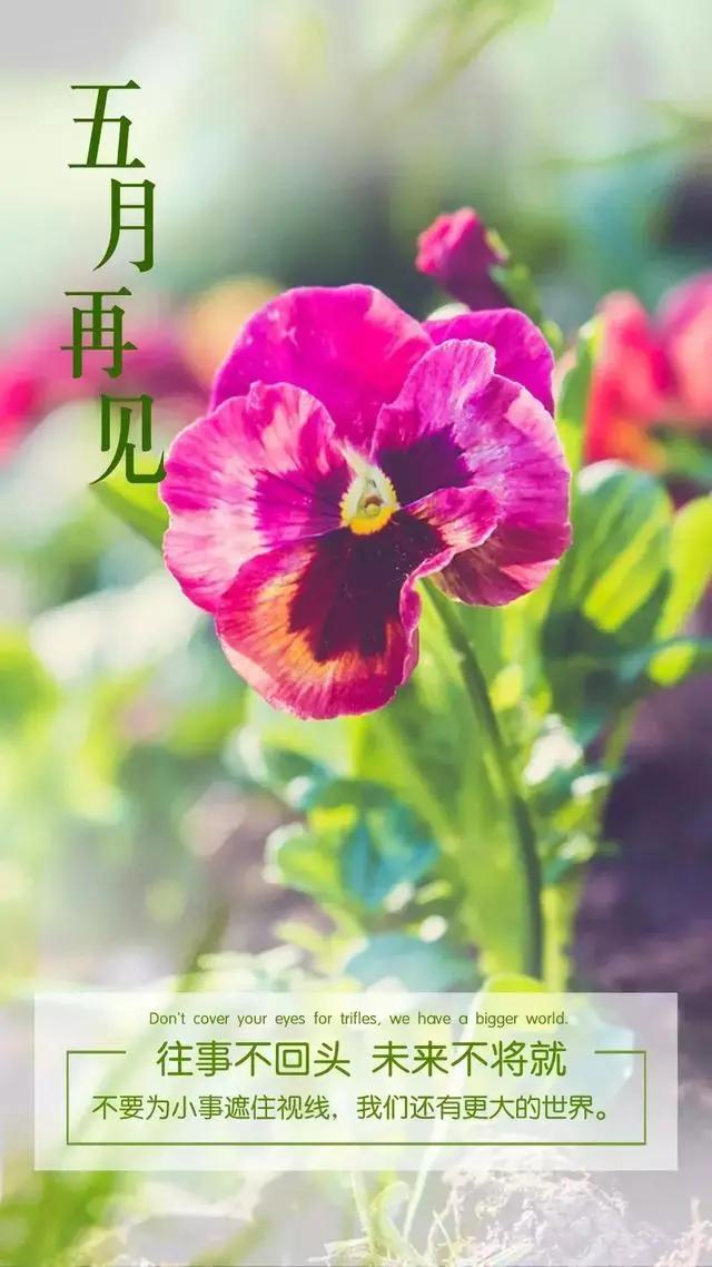 温馨句子朋友圈小朋友 温馨句子朋友圈小朋友
