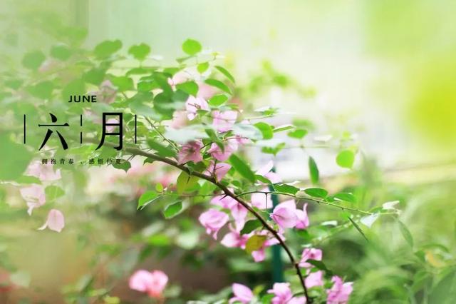 温馨句子朋友圈小朋友 温馨句子朋友圈小朋友