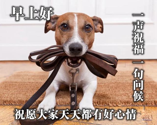 温馨句子朋友圈小朋友 温馨句子朋友圈小朋友
