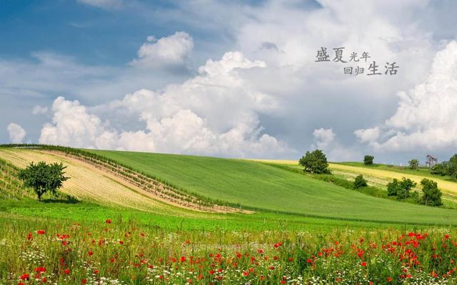 夏日炎炎温馨句子(晚安温馨句子)