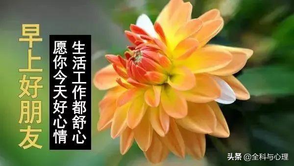 闺蜜温馨的句子大全 闺蜜温馨的句子大全