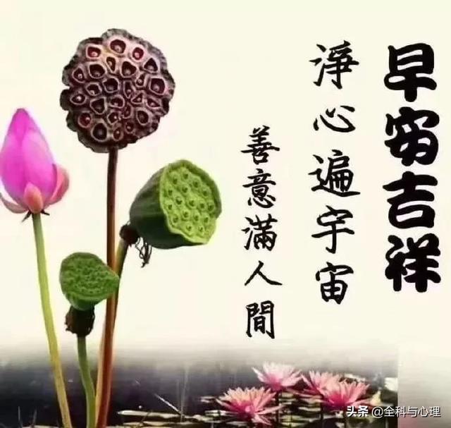闺蜜温馨的句子大全 闺蜜温馨的句子大全