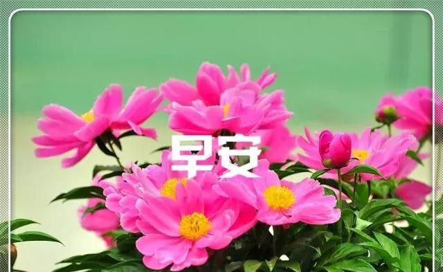 怎样形容广播温馨的句子(关于温馨的开头)