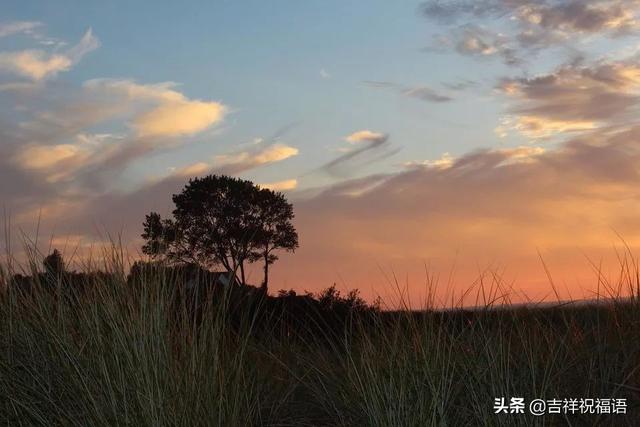 晚安温馨励志句子图片 晚安温馨励志句子图片