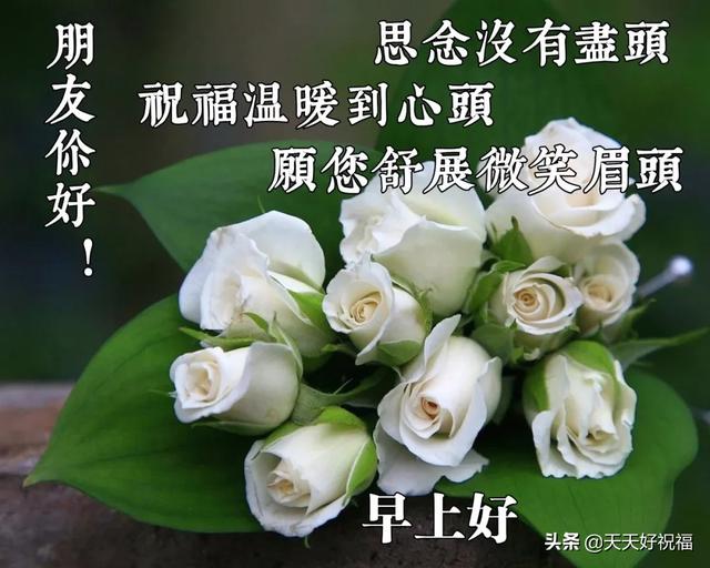 早安温馨句子2020 早安温馨句子2020