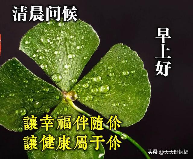 早安温馨句子2020 早安温馨句子2020