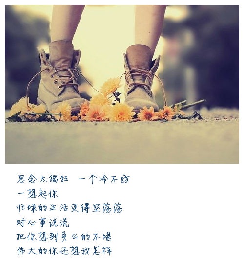 表达心情高兴唯美的句子_(感悟人生的经典句子)