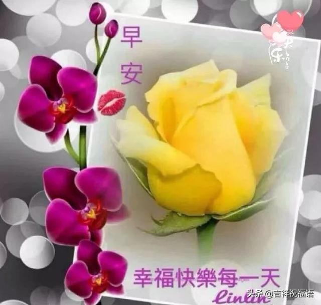 早安暖暖问候语温馨的句子 早安暖暖问候语温馨的句子