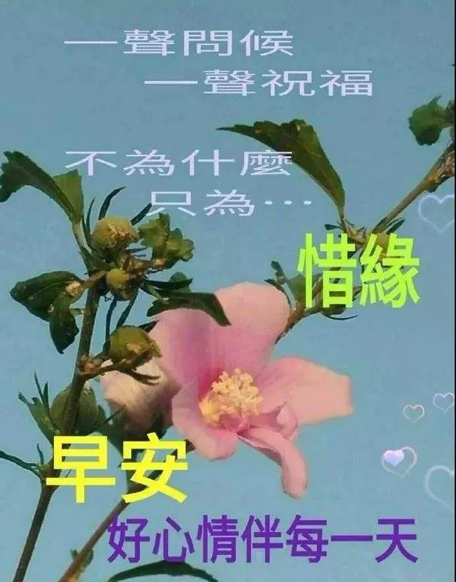 房子虽然不大但是温馨的句子 房子虽然不大但是温馨的句子