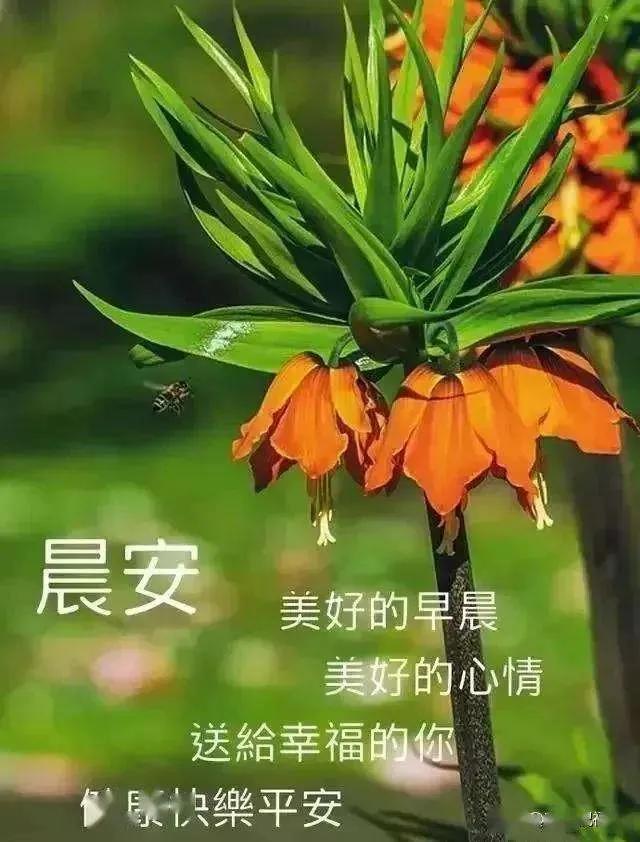 房子虽然不大但是温馨的句子 房子虽然不大但是温馨的句子
