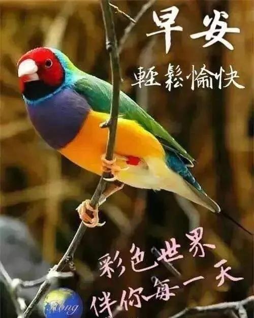 房子虽然不大但是温馨的句子 房子虽然不大但是温馨的句子