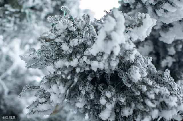 关于下雪温馨的句子 关于下雪温馨的句子