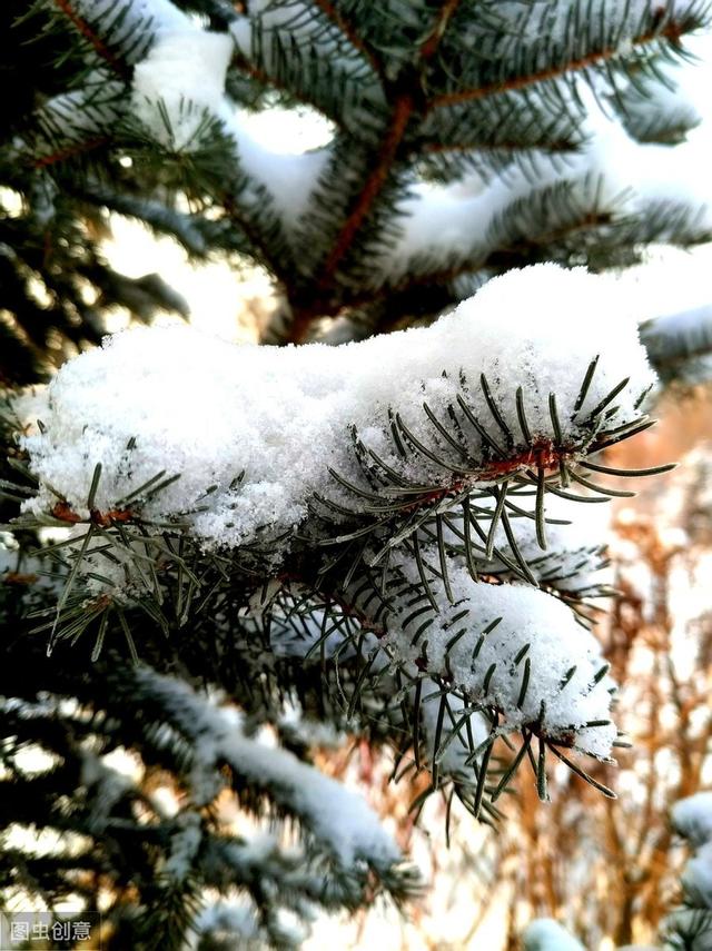 关于下雪温馨的句子 关于下雪温馨的句子