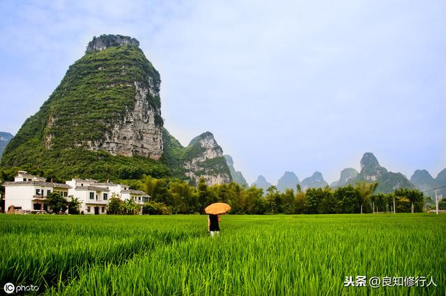 温馨的句子 一家三口看花 温馨的句子 一家三口看花