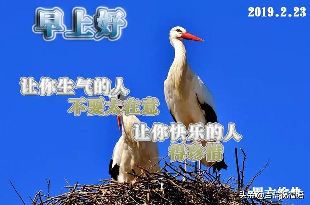 早上问候语友情温馨句子 早上问候语友情温馨句子