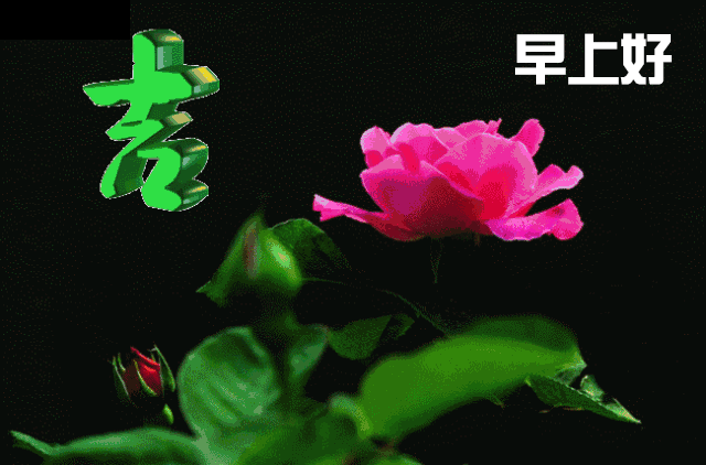 早上问候语友情温馨句子 早上问候语友情温馨句子