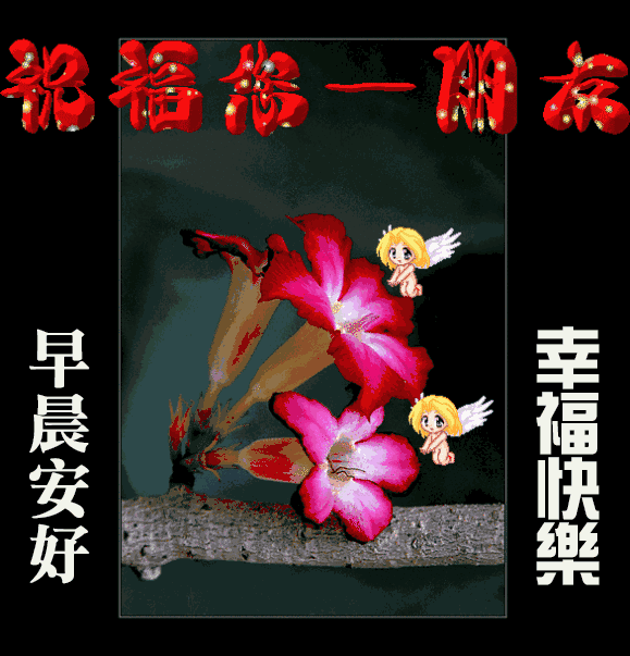 早上问候语友情温馨句子 早上问候语友情温馨句子
