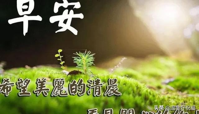 温馨问候早上好的句子(问候早上好的句子)