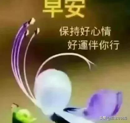 温馨问候早上好的句子(问候早上好的句子)