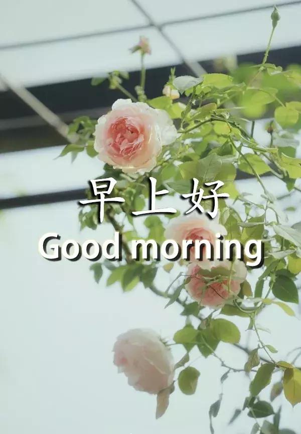 情侣早安温馨句子大全 情侣早安温馨句子大全