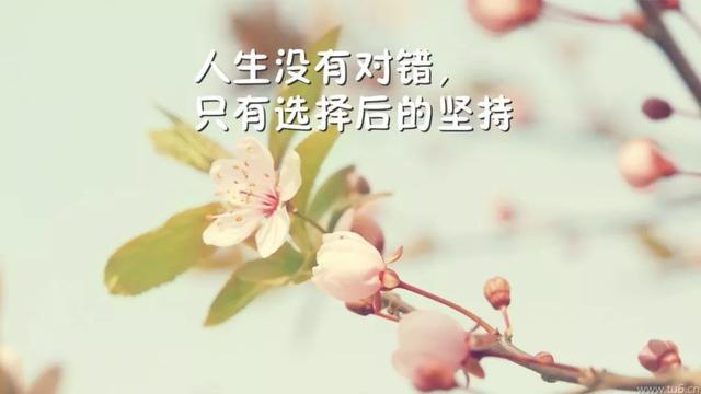 经典句子伤感 经典句子伤感