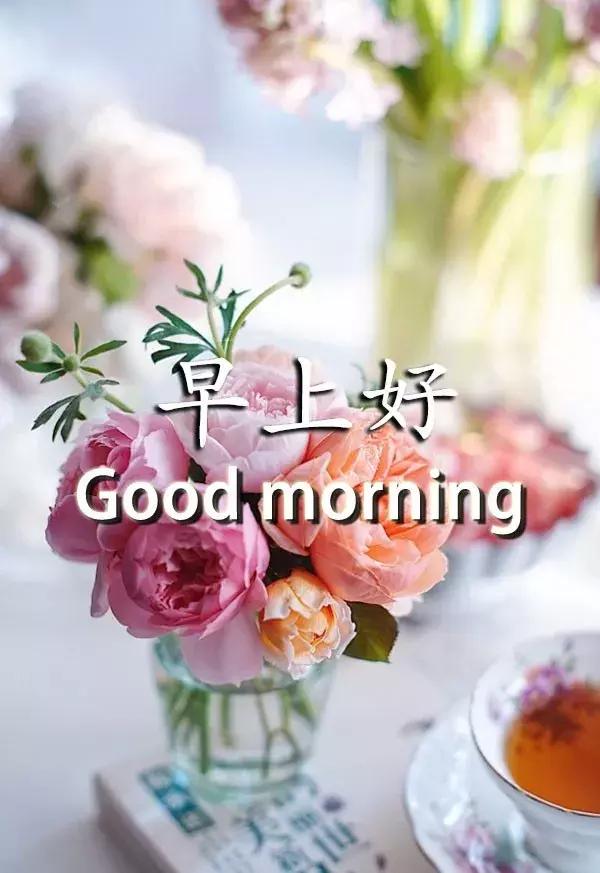 情侣早安温馨句子大全 情侣早安温馨句子大全