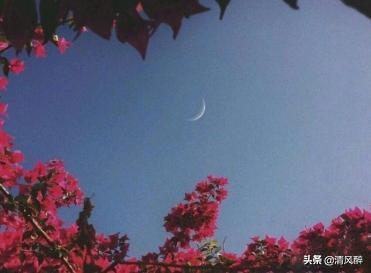 单身狗生活句子 单身狗生活句子