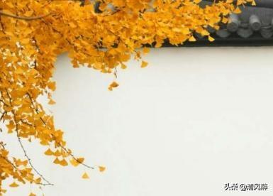 单身狗生活句子 单身狗生活句子