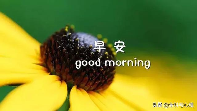 奋斗的句子名言 奋斗的句子名言