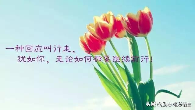 人生励志哲理感悟经典语录 人生励志哲理感悟经典语录