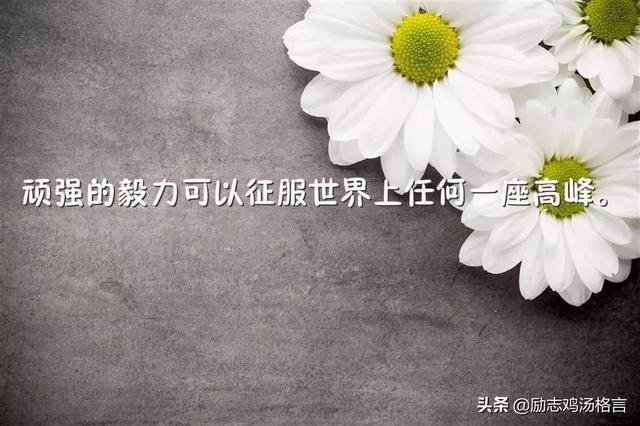 人生励志哲理感悟经典语录 人生励志哲理感悟经典语录