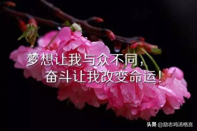 人生励志哲理感悟经典语录 人生励志哲理感悟经典语录