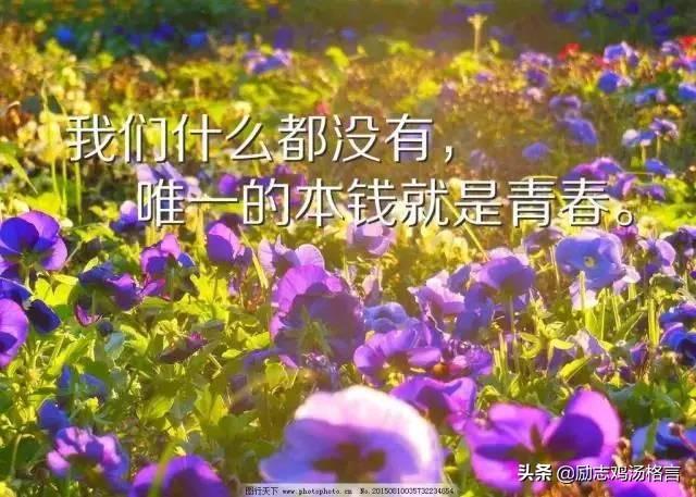 人生励志哲理感悟经典语录 人生励志哲理感悟经典语录