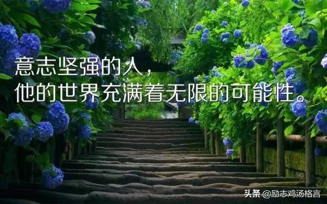 人生励志哲理感悟经典语录 人生励志哲理感悟经典语录