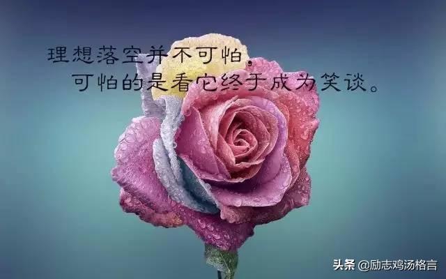 人生励志哲理感悟经典语录 人生励志哲理感悟经典语录
