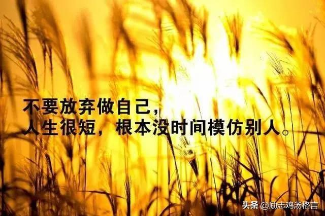 人生励志哲理感悟经典语录 人生励志哲理感悟经典语录