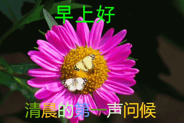 温馨问候的句子唯美 温馨问候的句子唯美