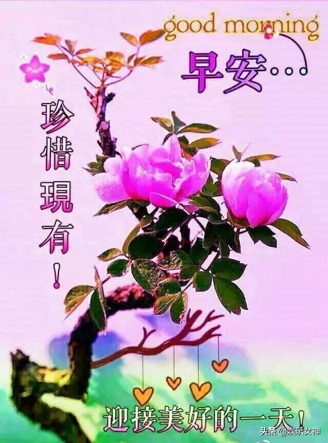 温馨问候的句子唯美 温馨问候的句子唯美