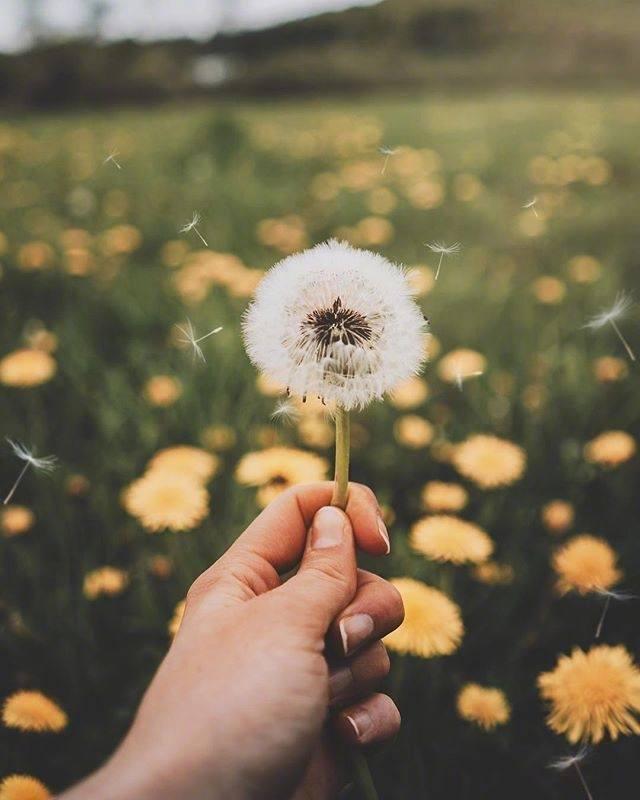 温馨的句子或一段话 温馨的句子或一段话