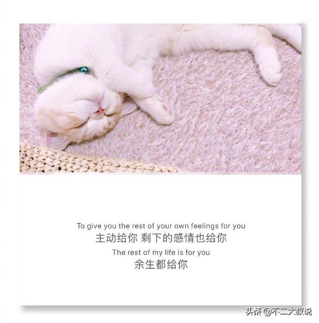表达爱孩子温馨句子英文 表达爱孩子温馨句子英文