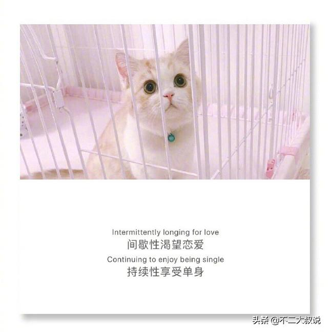 表达爱孩子温馨句子英文 表达爱孩子温馨句子英文