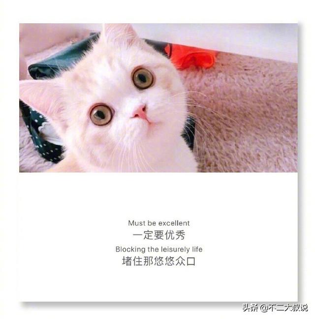 表达爱孩子温馨句子英文 表达爱孩子温馨句子英文