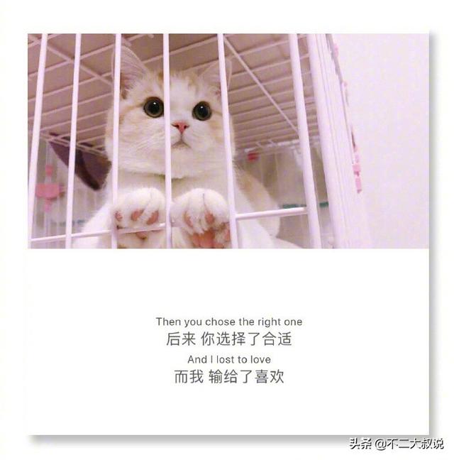 表达爱孩子温馨句子英文 表达爱孩子温馨句子英文