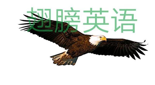 经典句子英语 经典句子英语