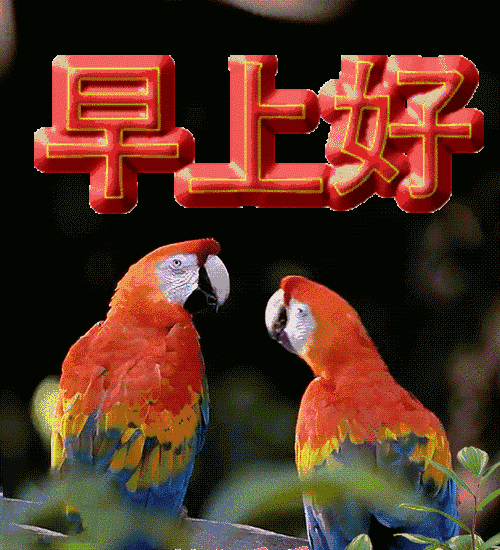 早友情早上问好的温馨句子 早友情早上问好的温馨句子