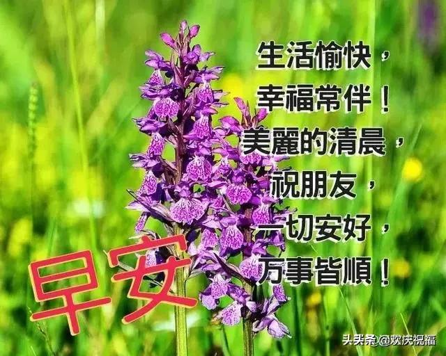早友情早上问好的温馨句子 早友情早上问好的温馨句子