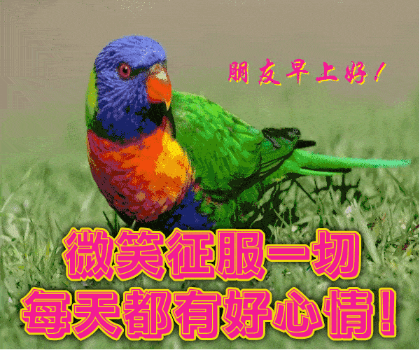 早友情早上问好的温馨句子 早友情早上问好的温馨句子