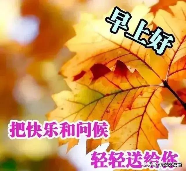 早友情早上问好的温馨句子 早友情早上问好的温馨句子
