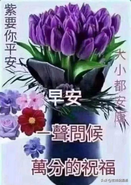 早上祝福语最温馨的句子 早上祝福语最温馨的句子