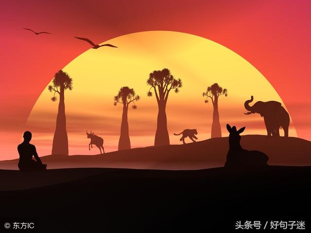 经典句子大全